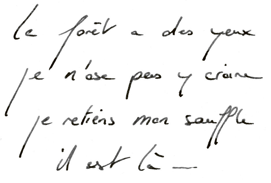 La forêt a des yeux, je n'ose pas y croire, je retiens mon souffle, il est là…