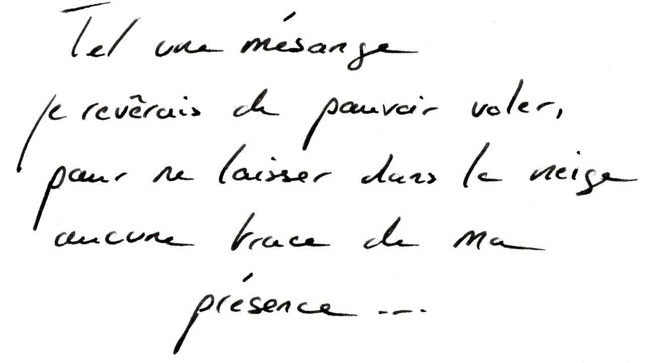 Telle une mésange, je rêverais de pouvoir voler, pour ne laisser dans la neige aucune trace de ma présence…