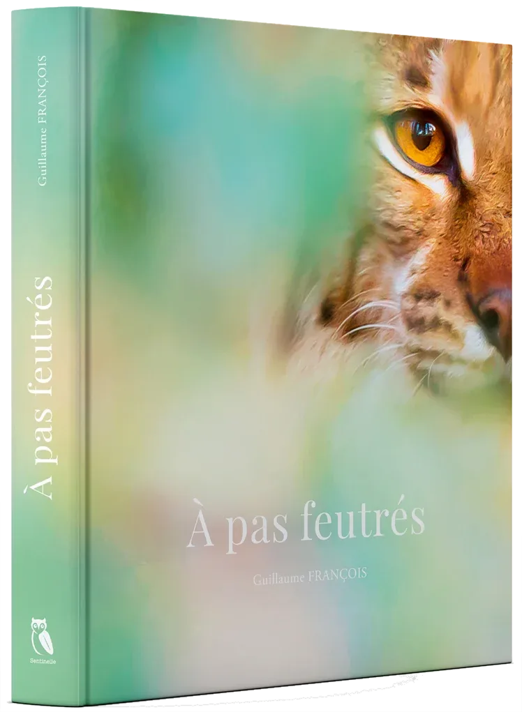 Livre À pas feutrés de Guillaume François, éditions Sentinelle © Guillaume François