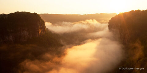 falaise-reculees-sentinelle-guillaume-francois-photographe-nature-animalier-baume-les-messieurs © Guillaume François