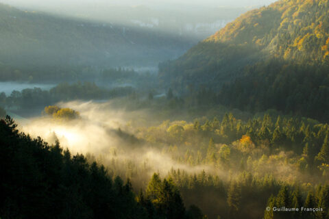 Forêt - ambiance - Automne - 2 - © Guillaume FRANÇOIS © Guillaume François