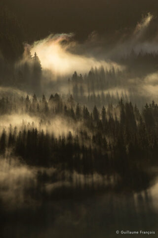 foret-du-lynx-brume-paysage brume jura guillaume francois photographe © Guillaume François