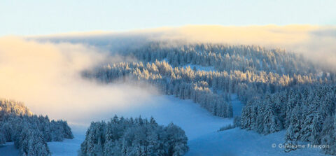 massif-du-jura-les-rousses-neige-hiver-guillaume-francois-photographe-nature-animalier © Guillaume François