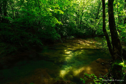 meandre-sauvage-guillaume-francois-photographe-nature-sauvage-animalier-naturaliste (2) © Guillaume François