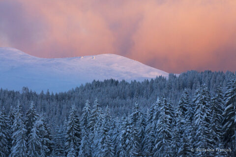 mont-jura-lumiere-neige-hiver-guillaume-francois-photographe-nature-animalier-sauvage © Guillaume François