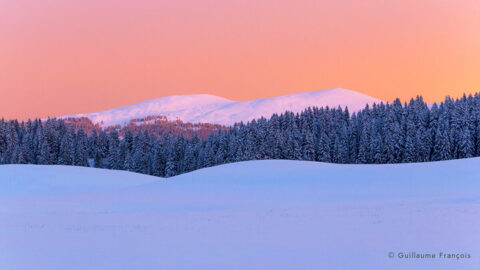 monts-jura-colomby-de-gex-jura-neige-hiver-guillaume-francois-photographe-nature-animalier © Guillaume François