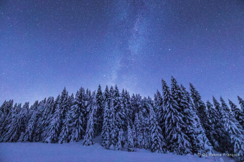 nuit-etoilee-neige-hiver-guillaume-francois-photographe-nature-animalier-sauvage © Guillaume François