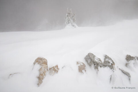 paysage-enneige © Guillaume François
