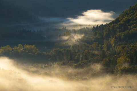 paysage-foret-guillaume-francois-photographe-nature-animalier © Guillaume François