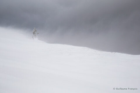 paysage-hiver-guillaume-francois-photographe-nature-animalier © Guillaume François