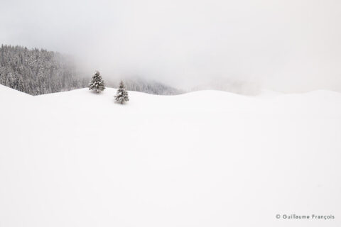 paysage-sapins-neige-hiver-guillaume-francois-photographe-nature-animalier © Guillaume François