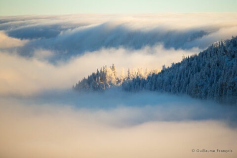 valle-brume-neige-hiver-guillaume-francois-photographe-nature-animalier-sauvage © Guillaume François