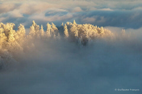 vallee-lumiere-enneigee-suisse-jura-froid-neige-hiver-guillaume-francois-photographe-nature-animalier © Guillaume François
