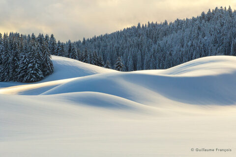 vallon-neige-hiver-guillaume-francois-photographe-nature-animalier © Guillaume François