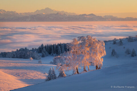 vue-sur-les-alpes-jura-neige-hiver-guillaume-francois-photographe-nature-animalier-sauvage © Guillaume François