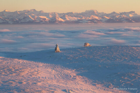 vue-sur-les-alpes-jura-suisse-neige-hiver-guillaume-francois-photographe-nature-animalier-sauvage © Guillaume François